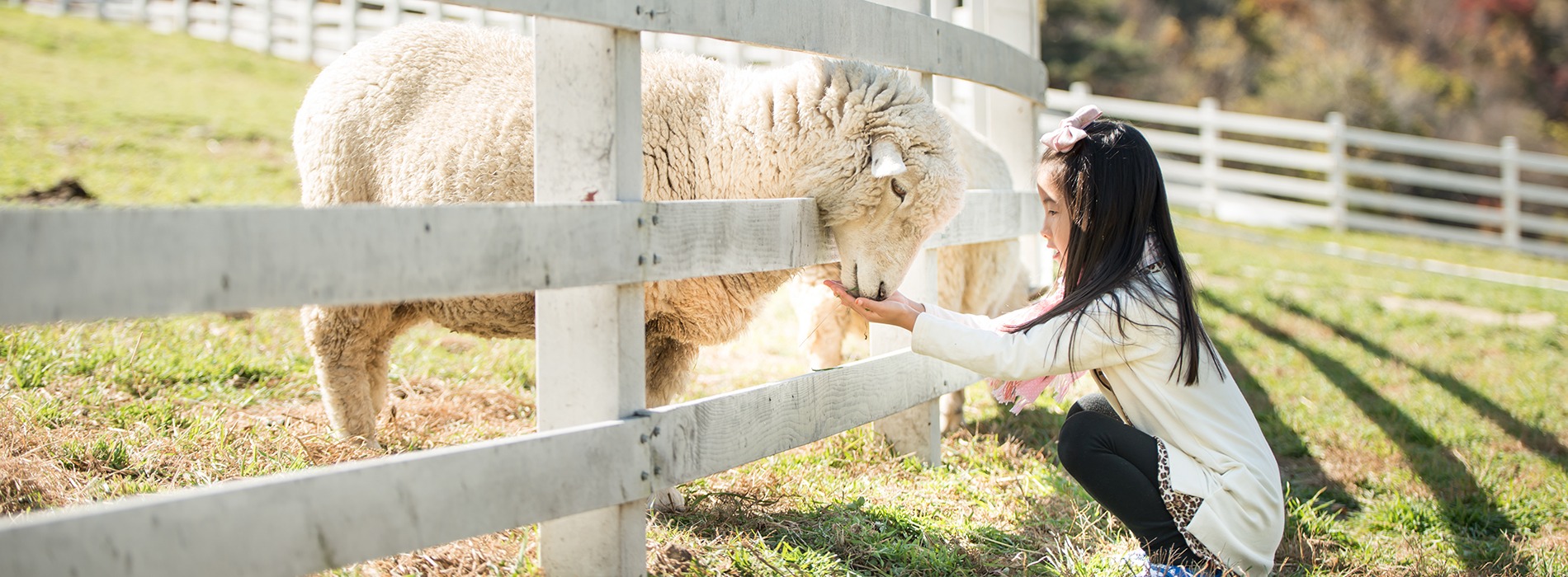 Complete List of Kid-Friendly Activities for Visit Korea Year 2023-24