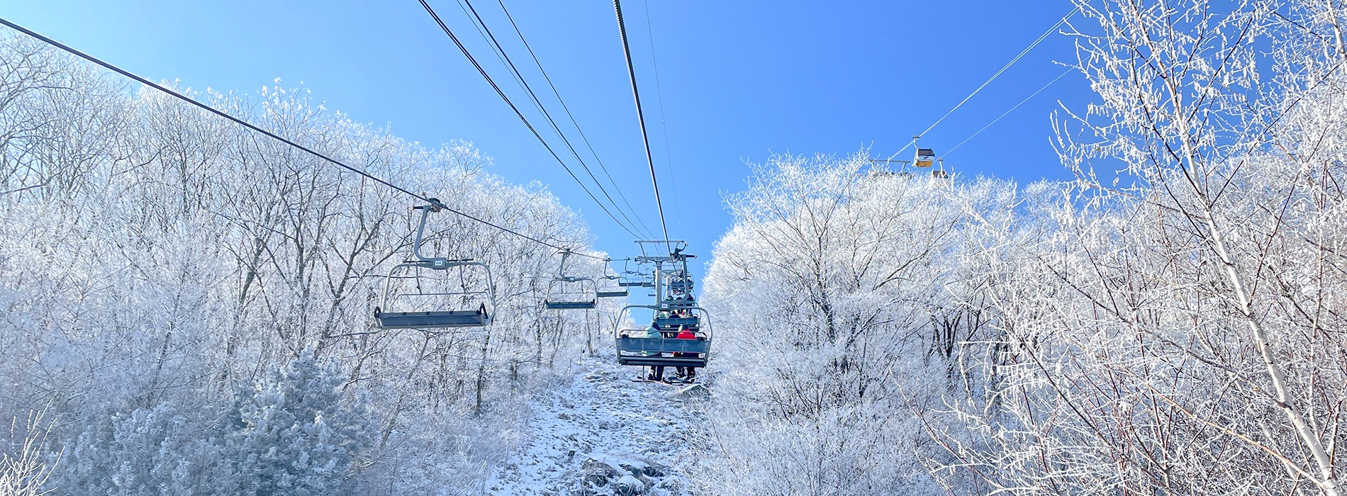Winter Activities for Visit Korea Year 2023-2024